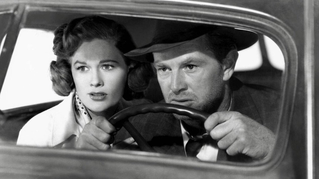 The Asphalt Jungle