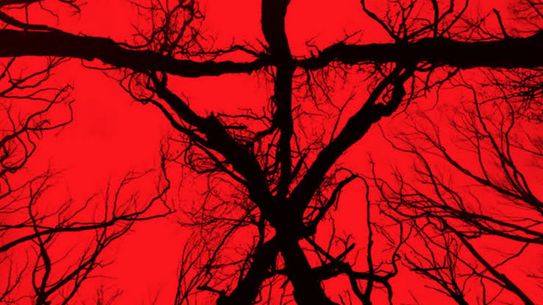Blair Witch