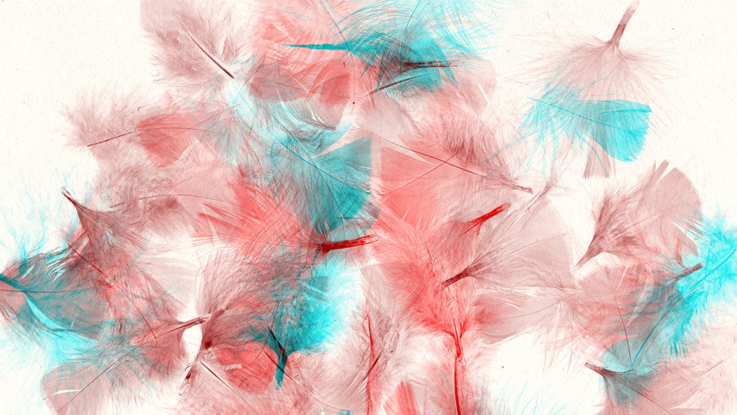 Les oiseaux