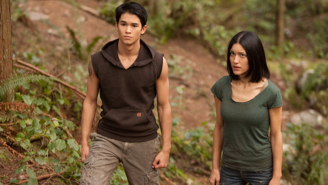 The Twilight Saga: Breaking Dawn – Part 1