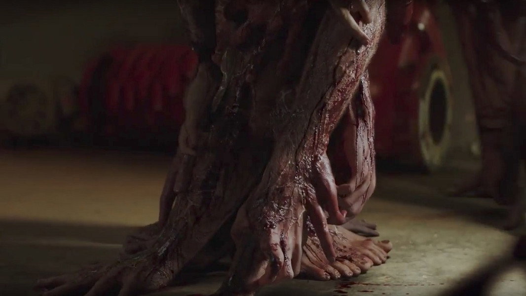 Zygote