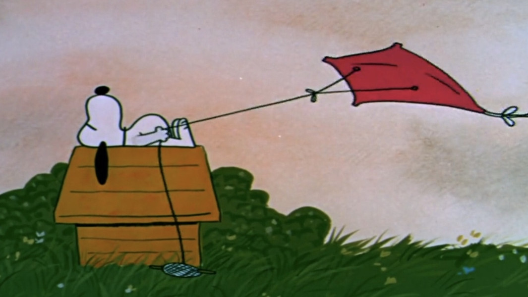 A Boy Named Charlie Brown