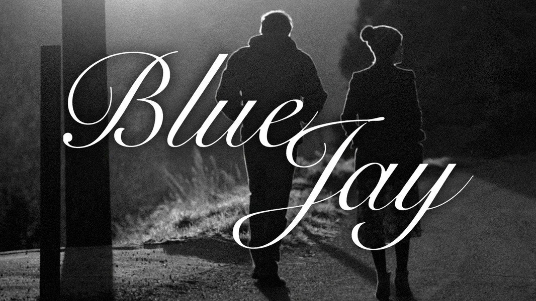 Blue Jay