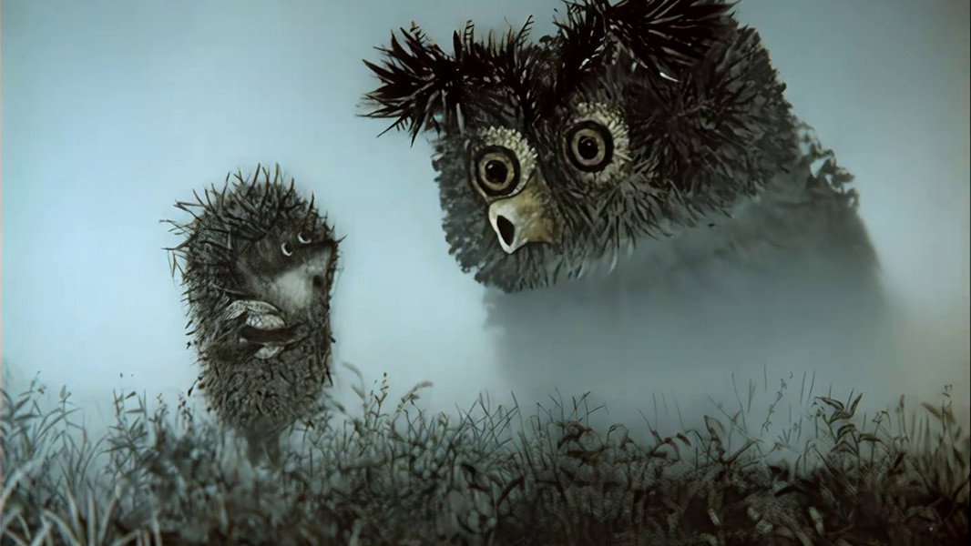 Hedgehog in the Fog