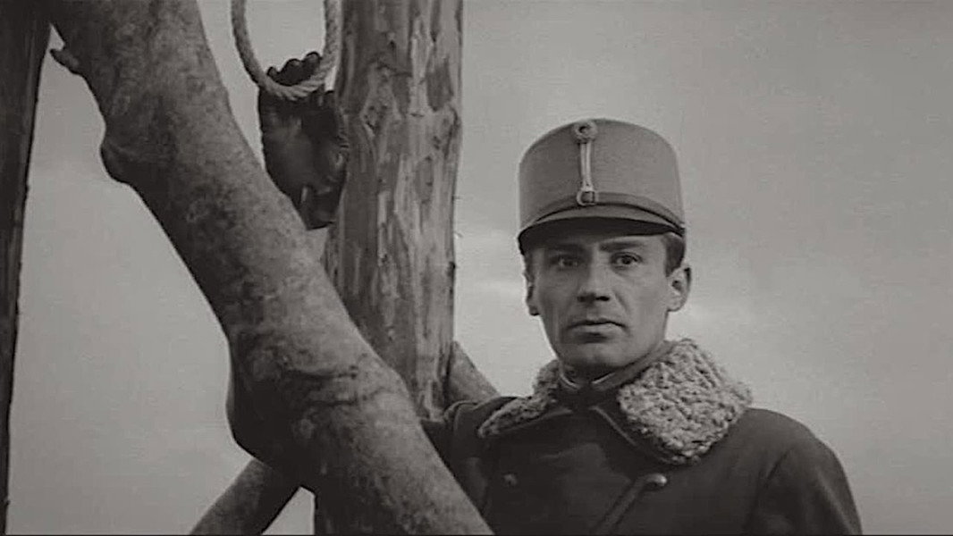 Forest of the Hanged