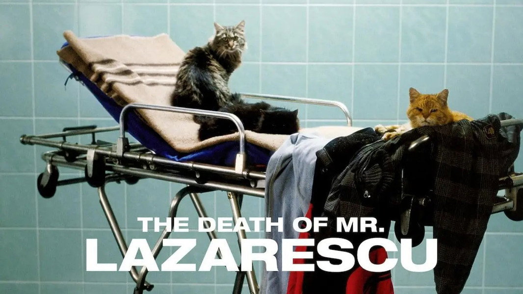 The Death of Mr. Lazarescu