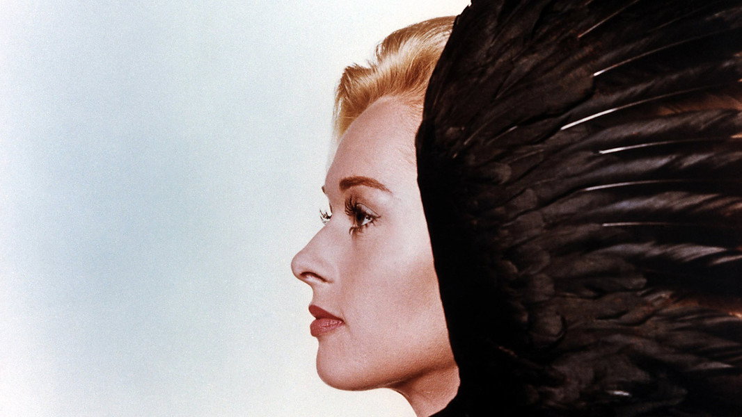 The Birds