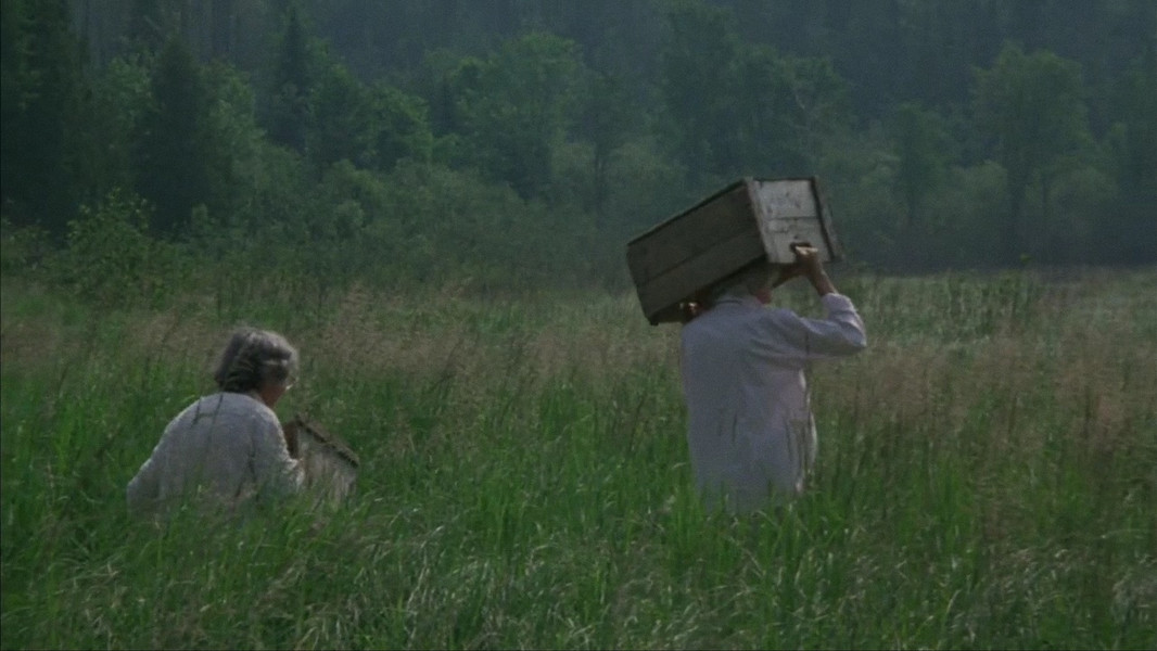 The Company of Strangers