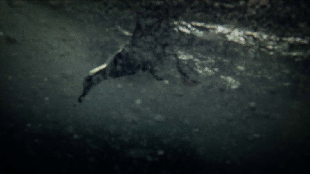 Leviathan