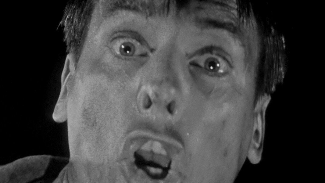 Invasion of the Body Snatchers