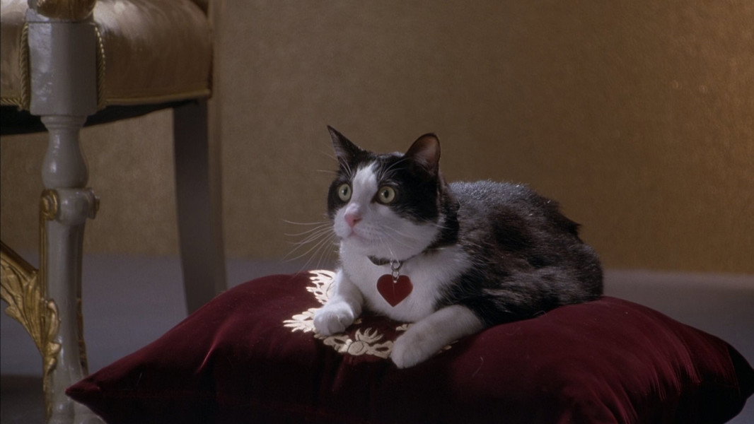 The Princess Diaries 2: Royal Engagement