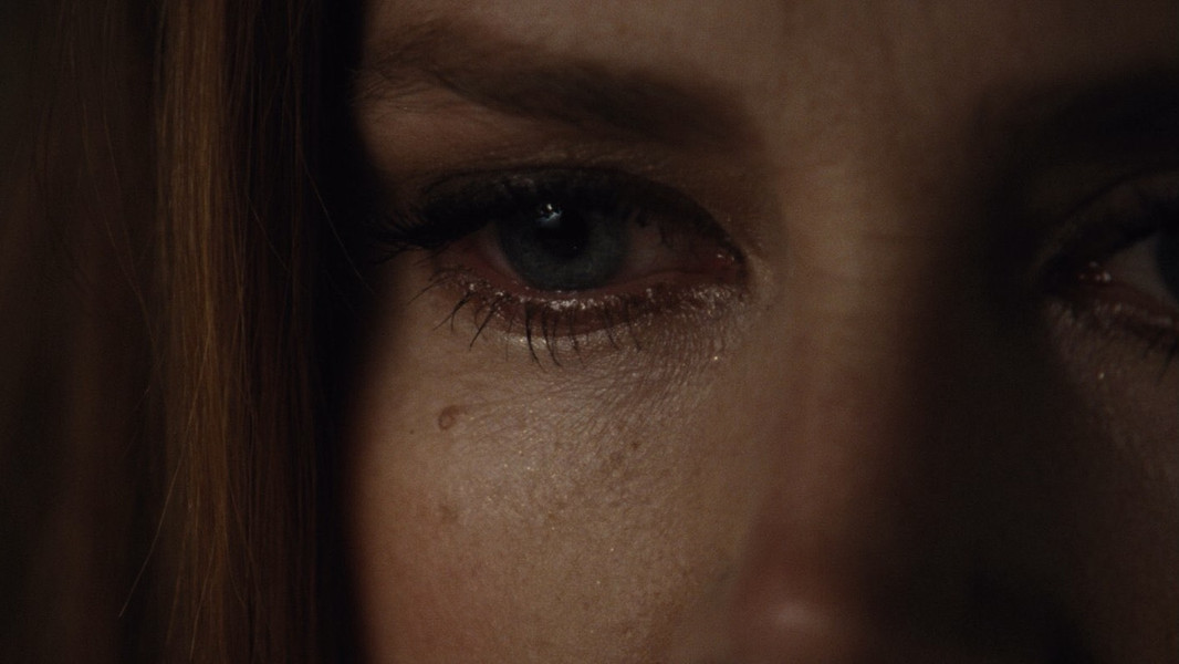 Nocturnal Animals