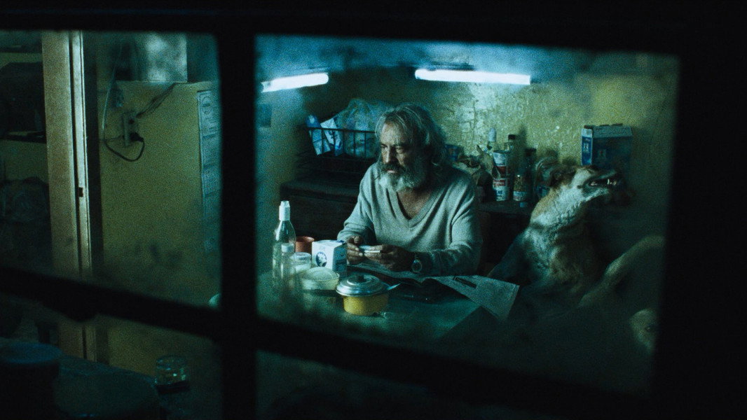 Amores Perros