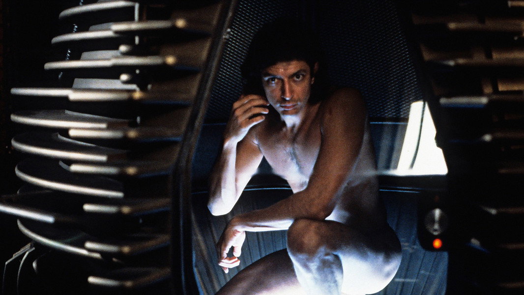 The Fly