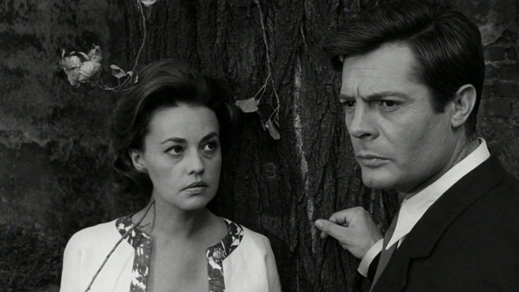 La Notte