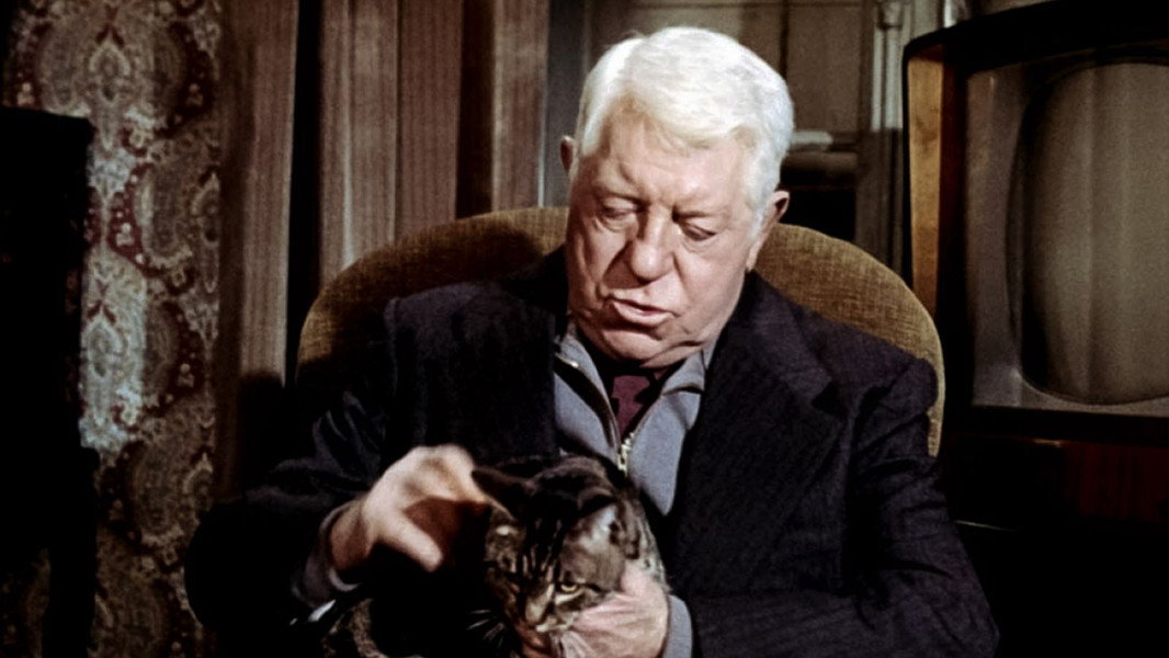 The Cat