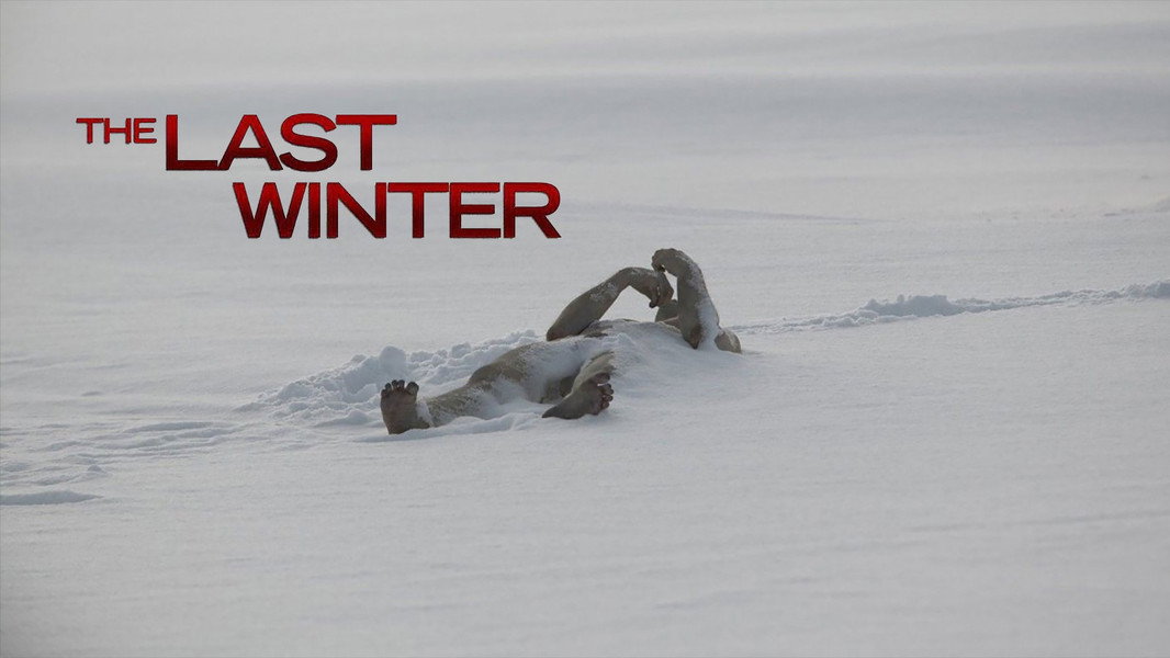 The Last Winter