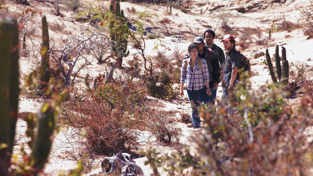 Desierto