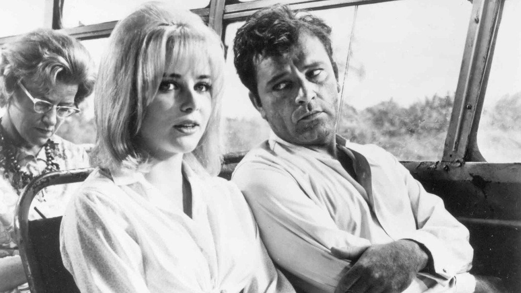 The Night of the Iguana