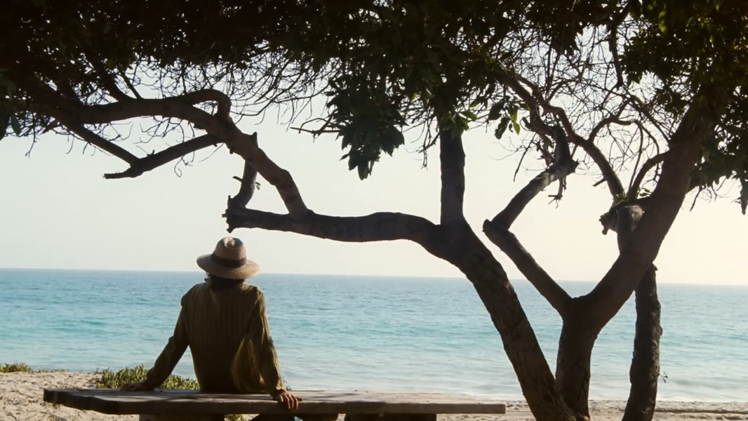 Inherent Vice