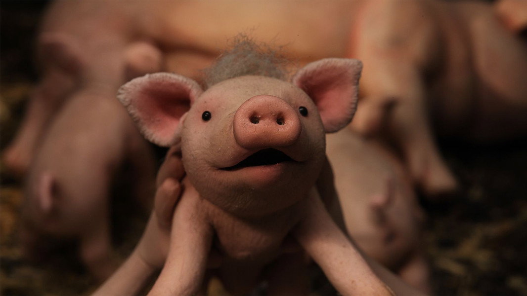 Oink