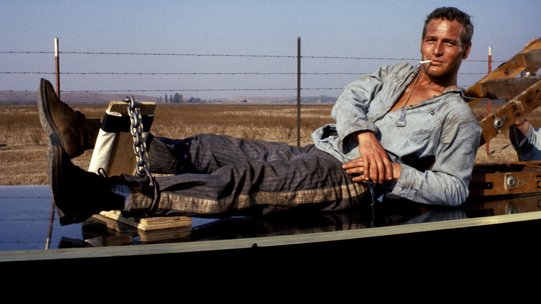 Cool Hand Luke