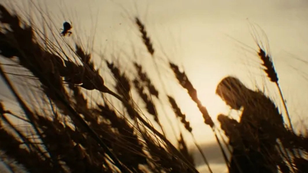 The Assassination of Jesse James by the Coward Robert Ford