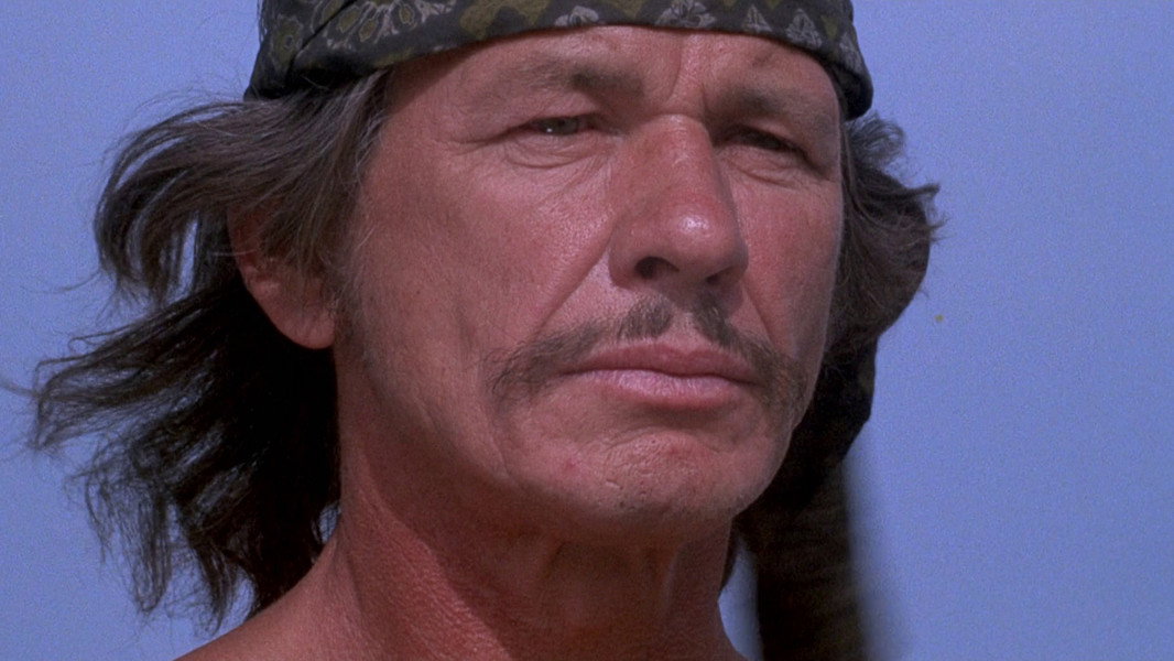 Chato's Land