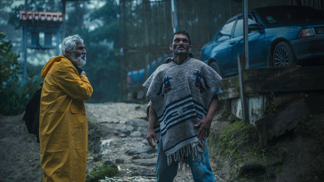Domingo and the Mist