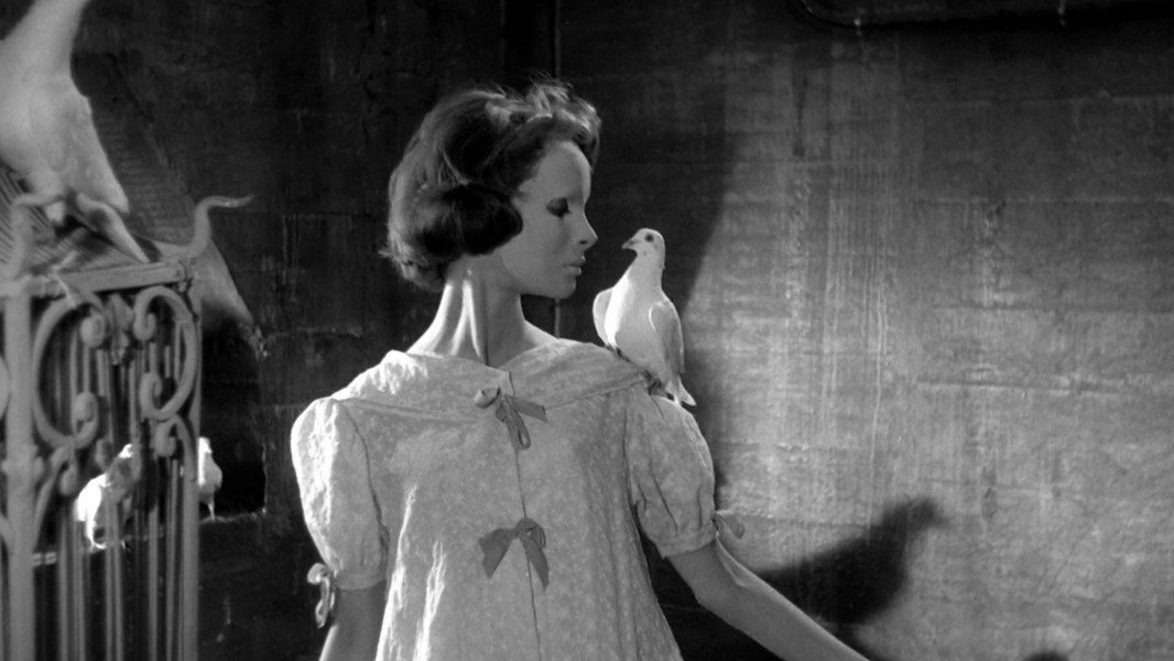 Eyes Without a Face
