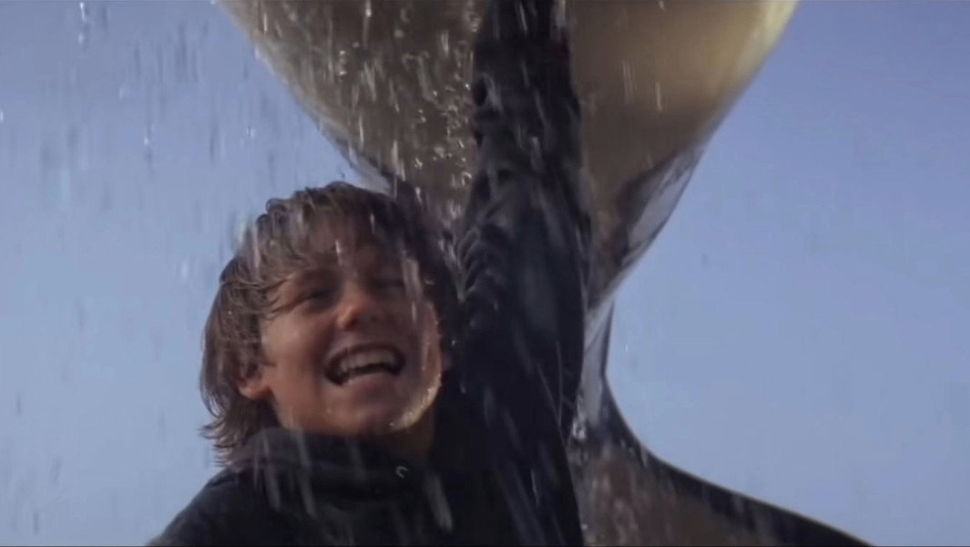 Free Willy
