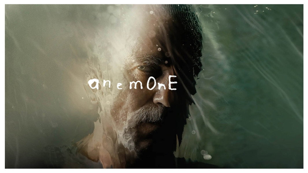 Anemone