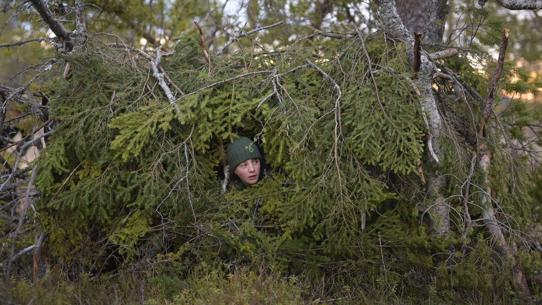 Whispers in the Woods