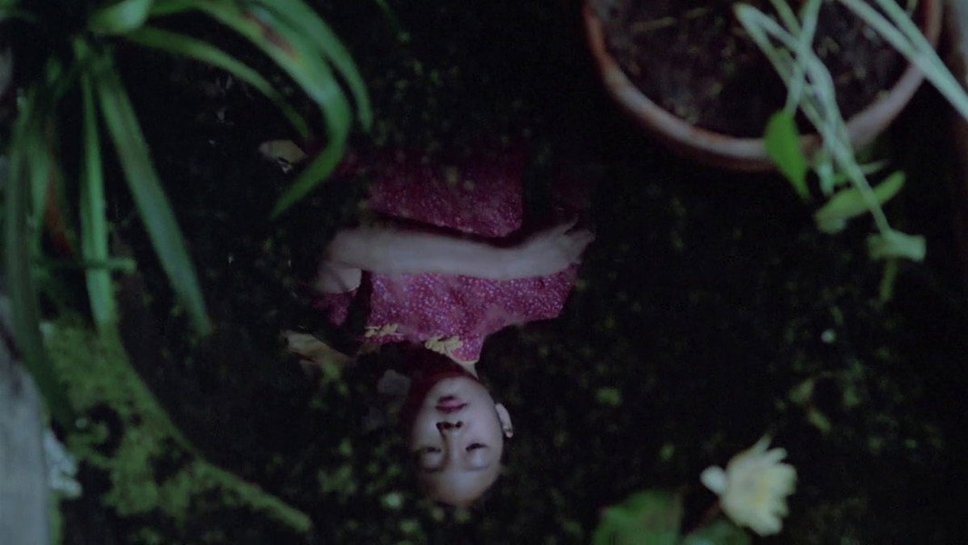 The Scent of Green Papaya