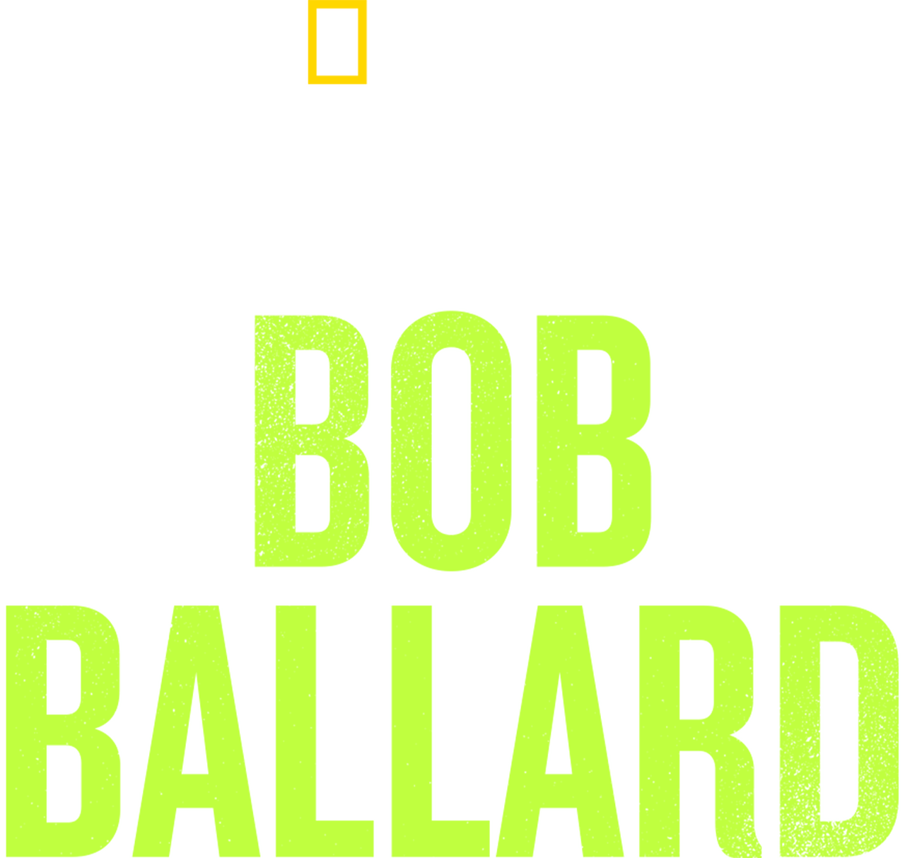 enlarged Logo 0