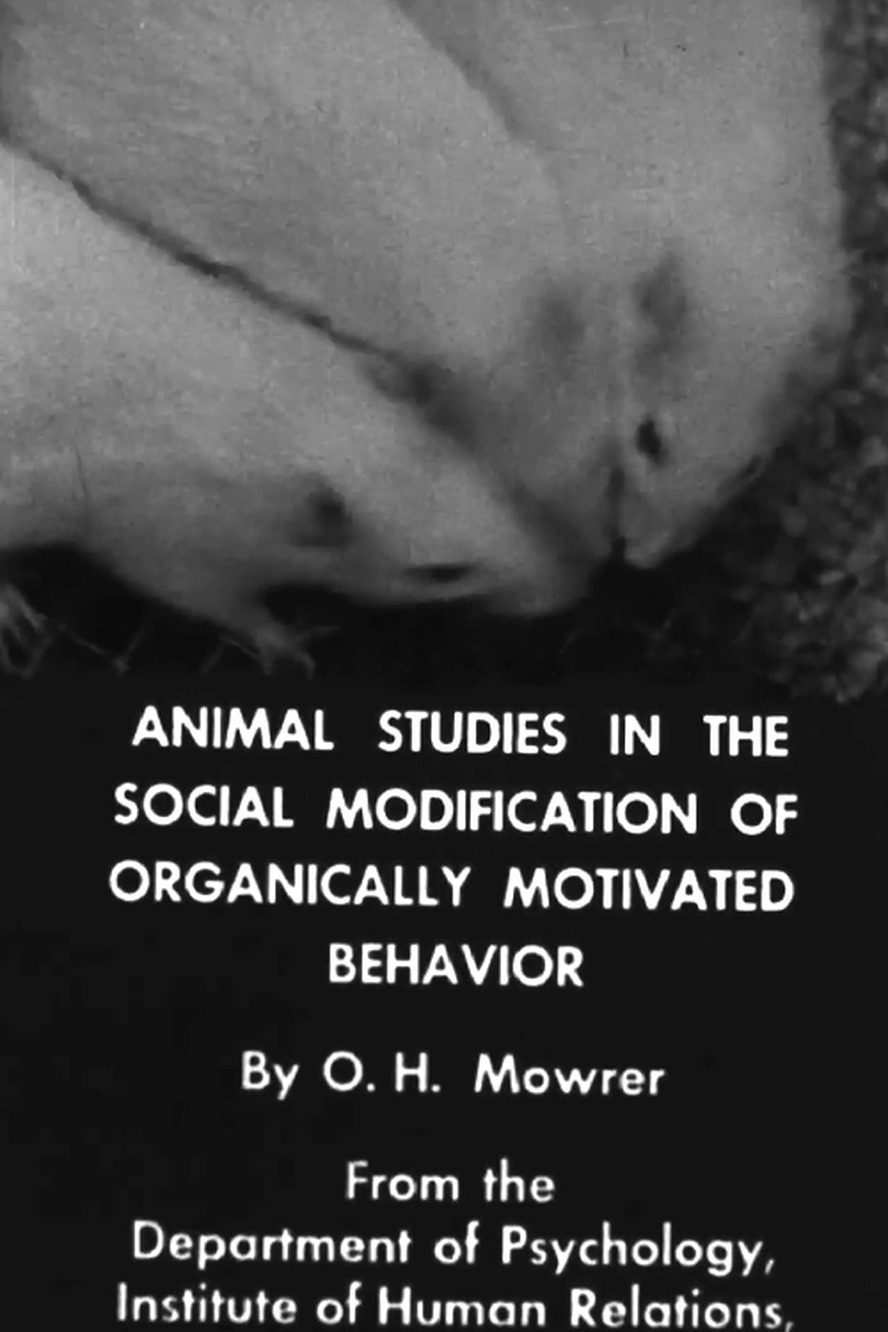 Animal Studies in the Social Modification of Organically Motivated Behavior