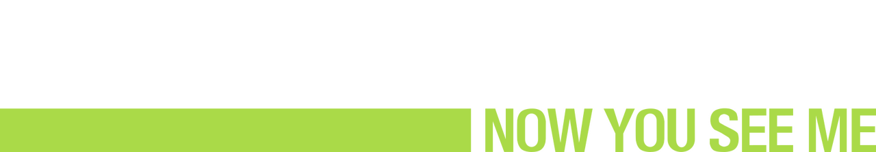 enlarged Logo 0