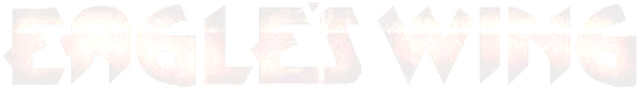 enlarged Logo 0