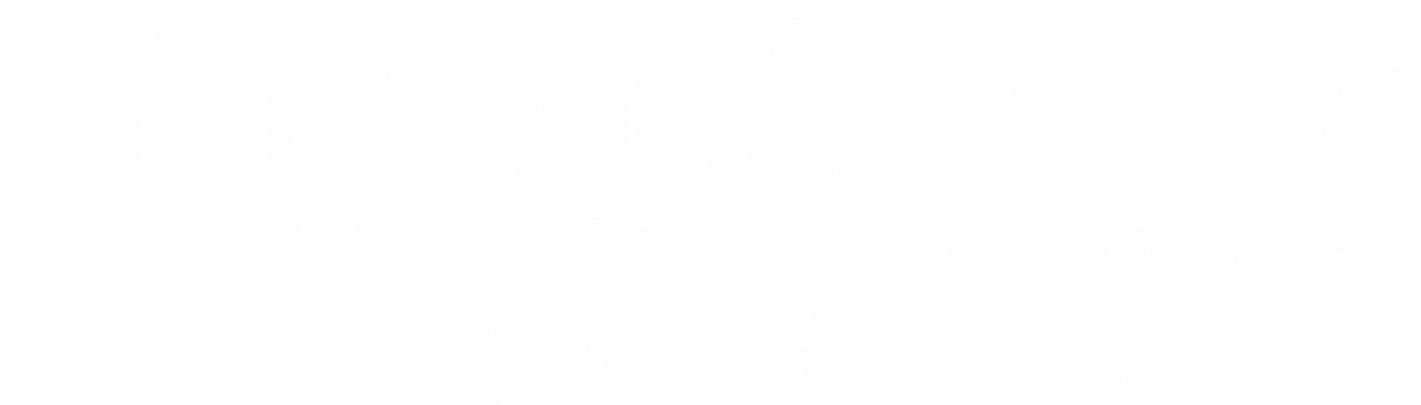 enlarged Logo 0