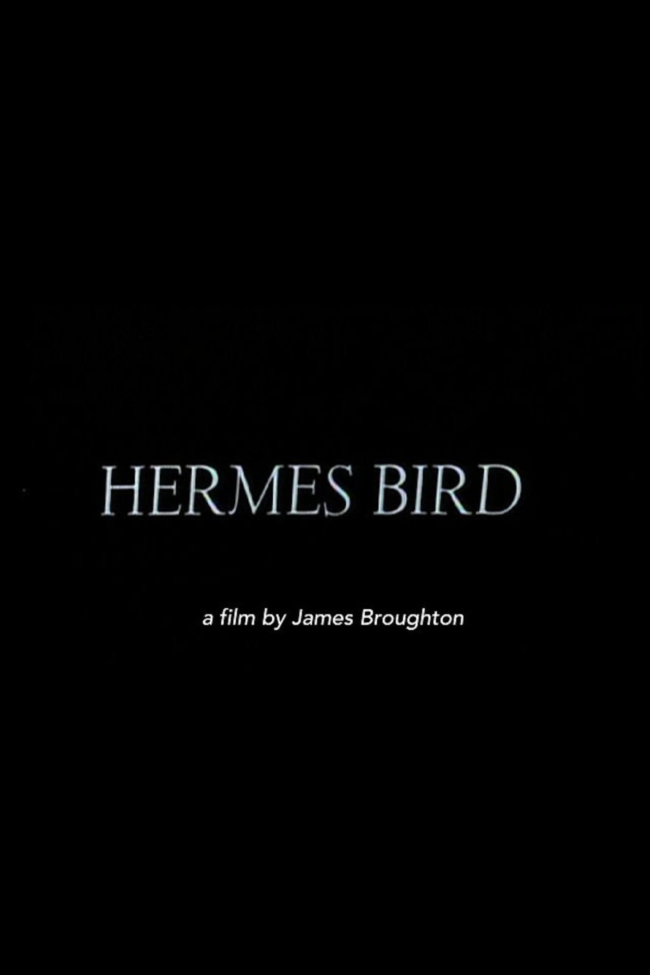 Hermes Bird