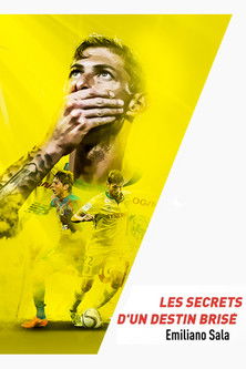 Emiliano Sala, les secrets d'un destin brisé
