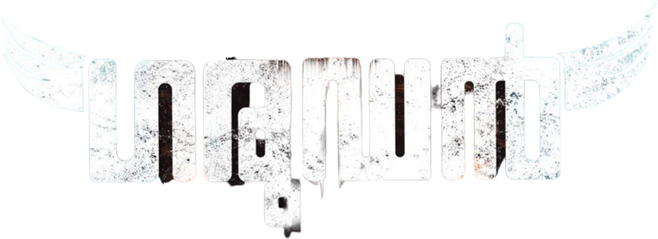 enlarged Logo 0