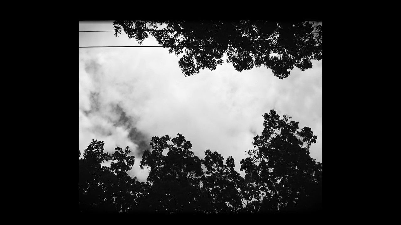 backdrop The Way My Eyes Beam When I Look At You