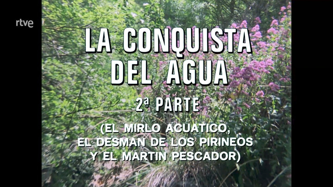 The Conquest of Water II