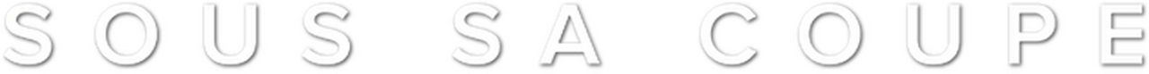 enlarged Logo 0