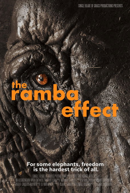 The Ramba Effect