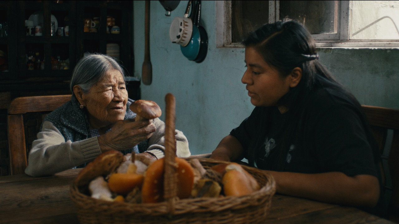 backdrop Daughters of the Forest