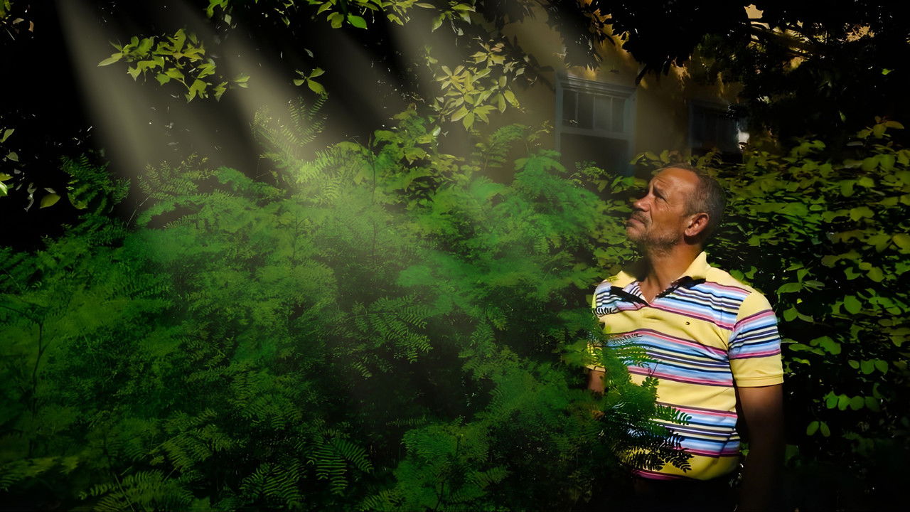 backdrop Fallen Angels