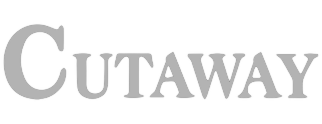 enlarged Logo 0