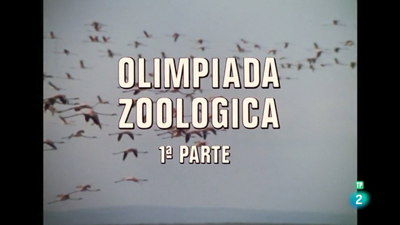 Zoological Olympics I